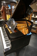 Steinweg Grand piano 19th century