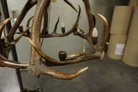 Antler chandelier Early 20th Century