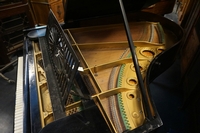 Bechstein grand piano around 1900