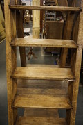 Library ladder 19th Century