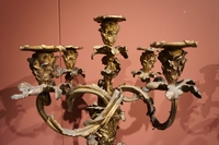 Louis XV style Pair of candelabras in gilded bronze, France mid 18th century