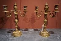 Louis XVI style Pair of candelabras in gilded bronze, France 19th century