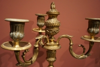 Louis XVI style Pair of candelabras in gilded bronze, France 19th century