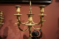 Louis XVI style Pair of candelabras in gilded bronze, France 19th century