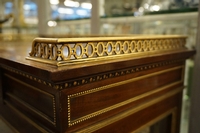 Louis XVI style Vitrine in mahogany, France 19th century