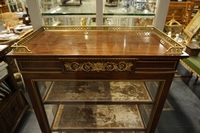 Louis XVI style Vitrine in mahogany, France 19th century