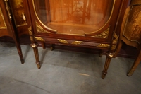 Louis XVI style Vitrine in mahogany, France 2nd half 19th C.