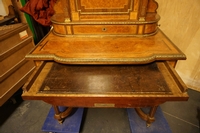 Napoleon III style Desk in tuya walnut, France 19th century