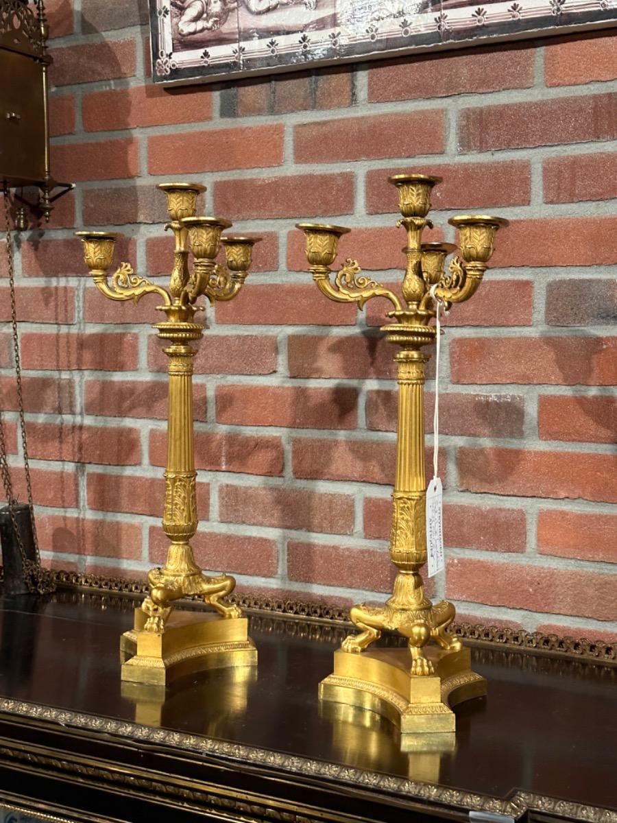Pair of bronze gilded charles x candelabras, 51h cm