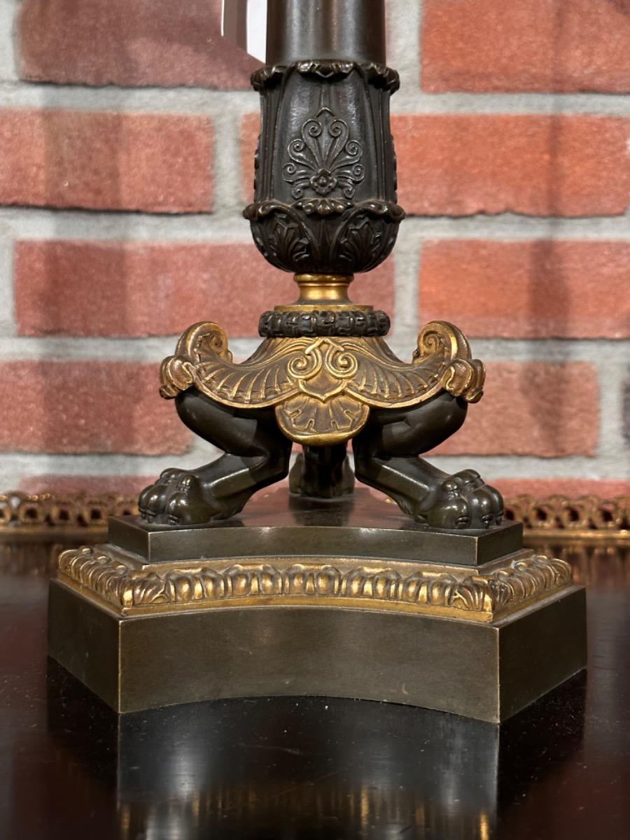 Pair of Bronze partly Gilded Charles X Candelabras, 59h cm