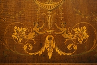 Pair of marquetry vitrines in mahogany, England 19th century