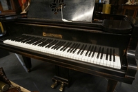 Steinweg Grand piano 19th century