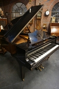 Steinweg Grand piano 19th century