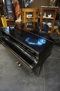 Steinweg Grand piano 19th century