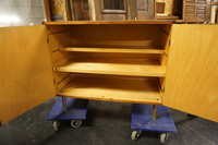 Vintage Pastoe cabinet Mid 20th Century